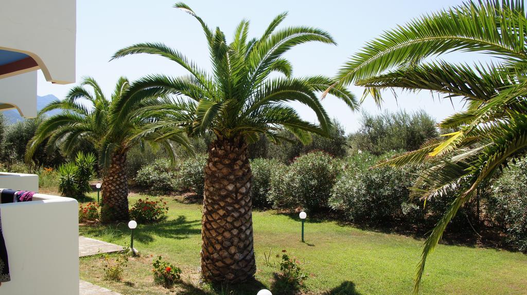 קיפריסיה Terpsichore Apartments חדר תמונה