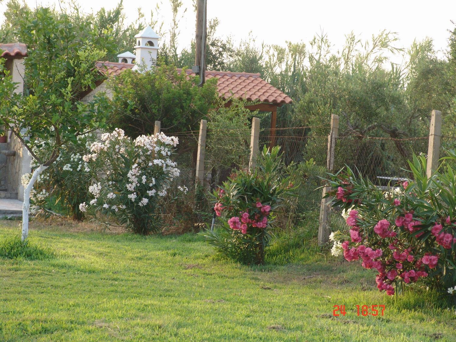 קיפריסיה Terpsichore Apartments מראה חיצוני תמונה